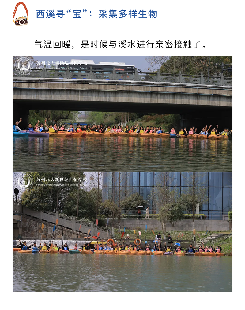 图层 5.png