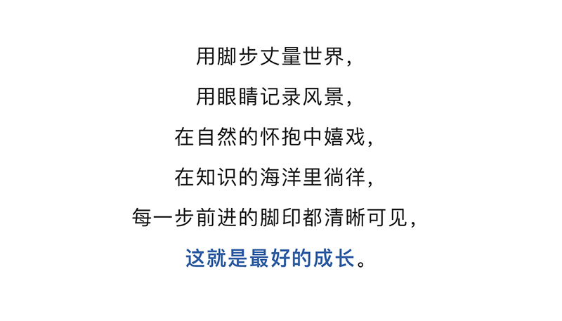 图层 12.png
