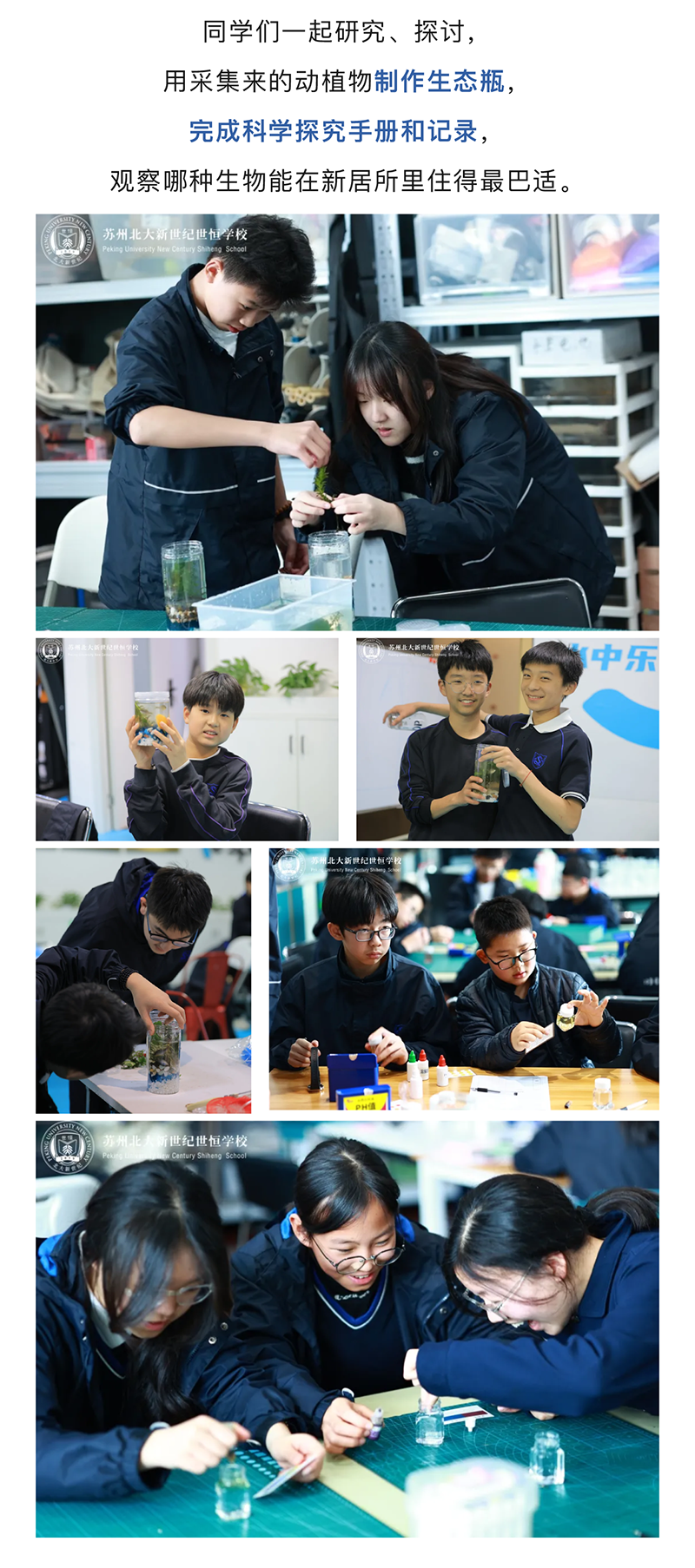 图层 8.png