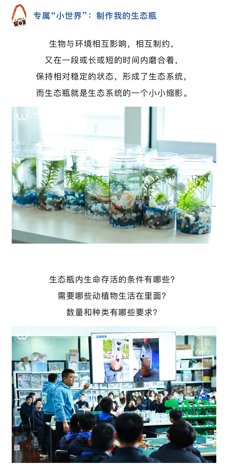 图层 7.png