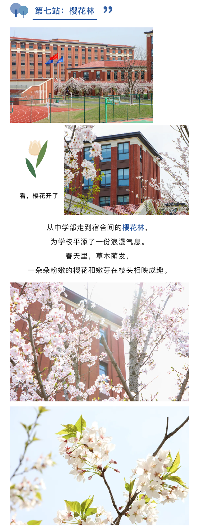 图层 13.png