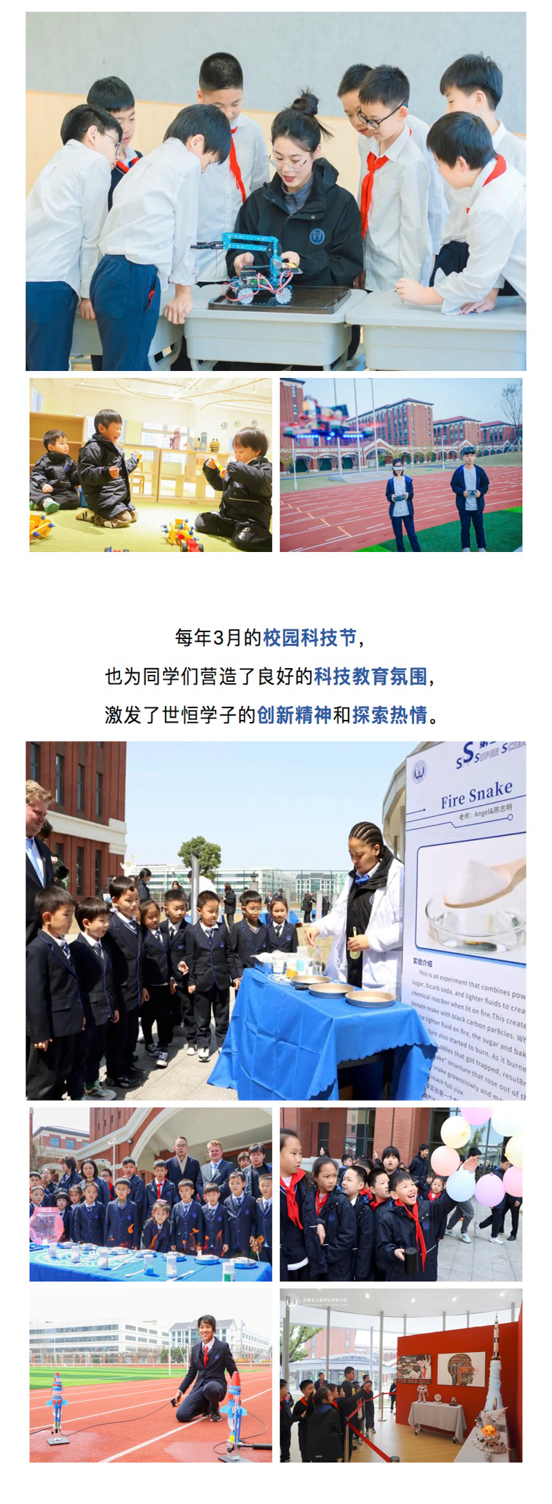 图层 7.png