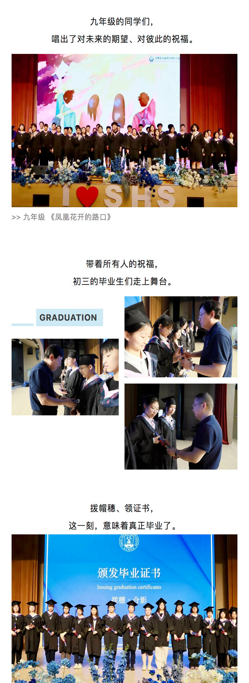 图层 6.png