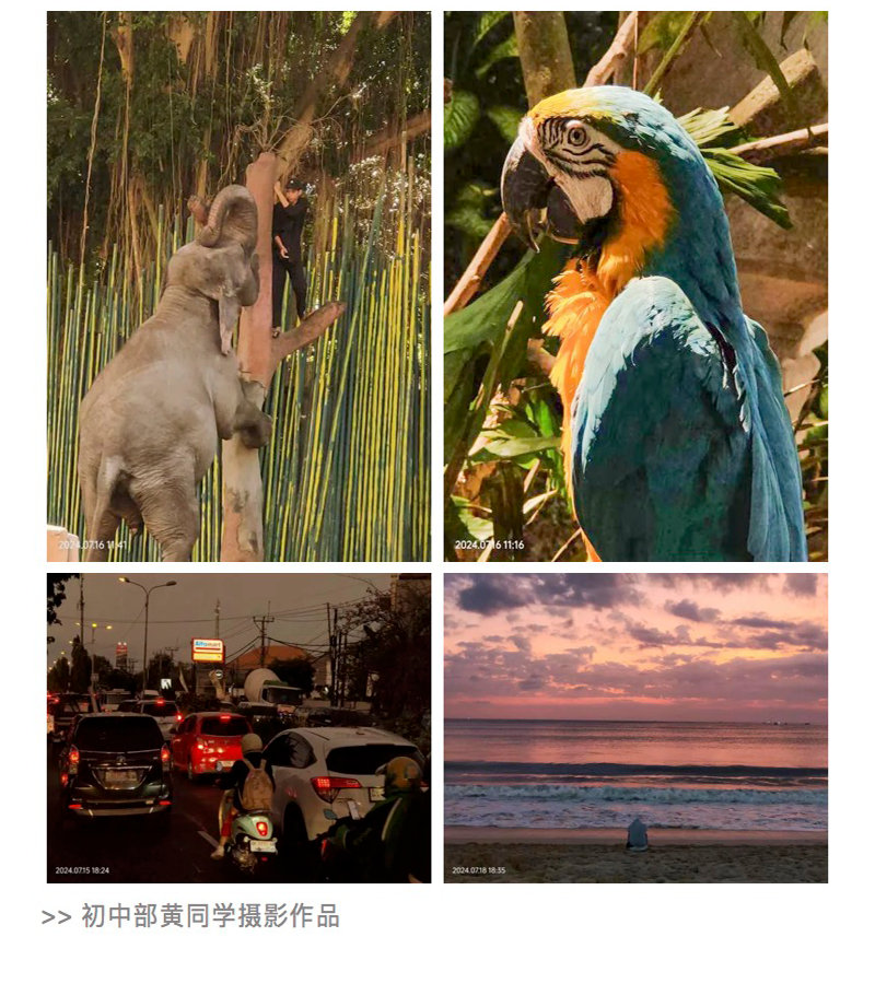 图层 9.png