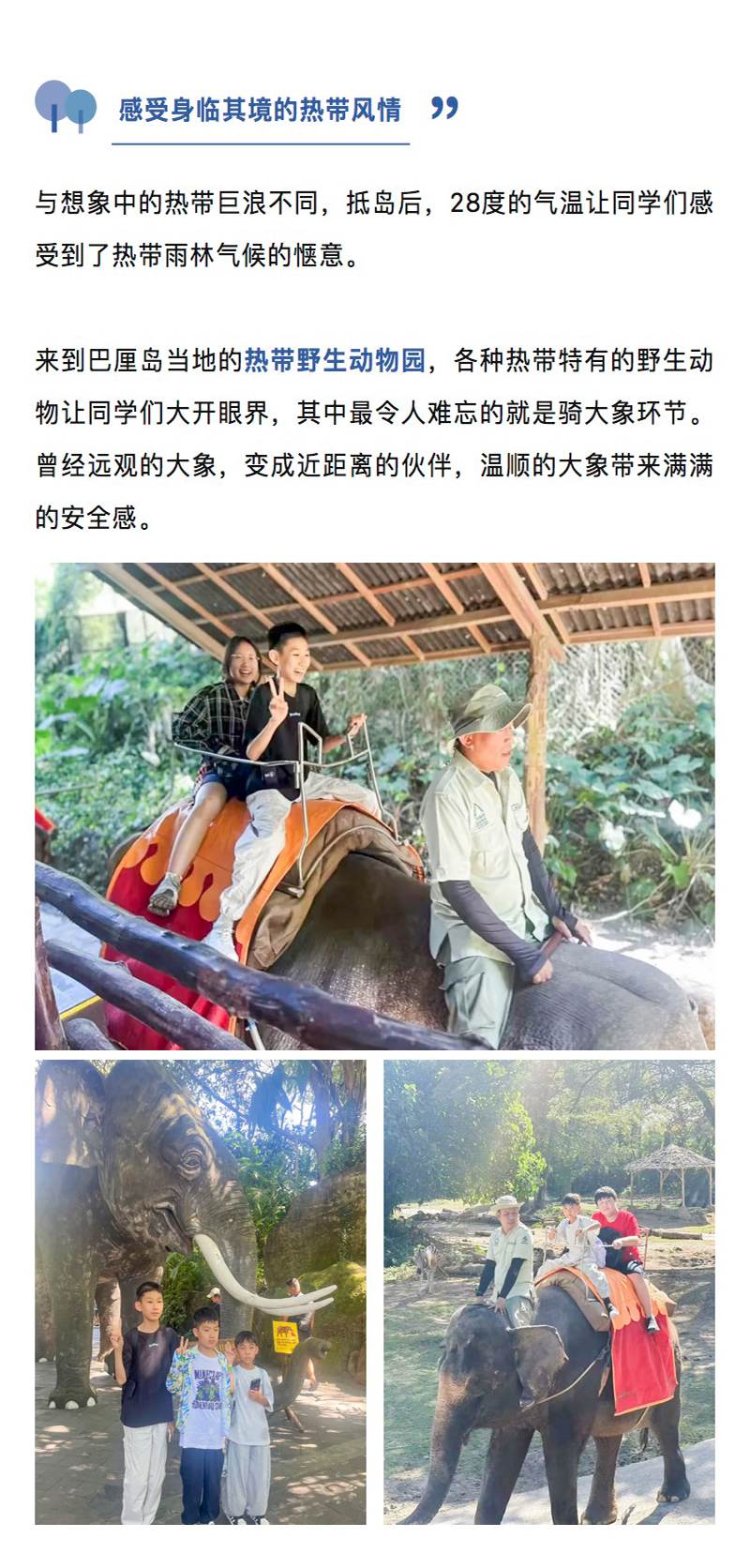 图层 2.png