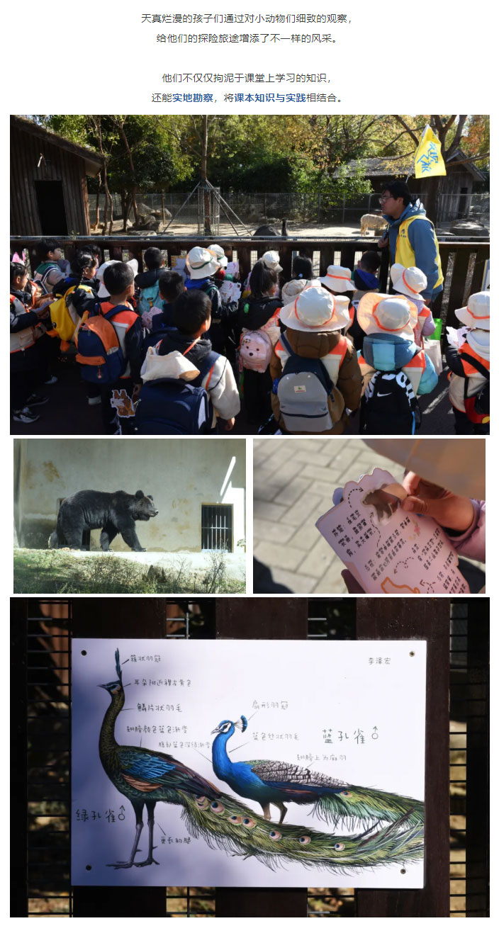 企业微信截图_17334485771359_02.jpg