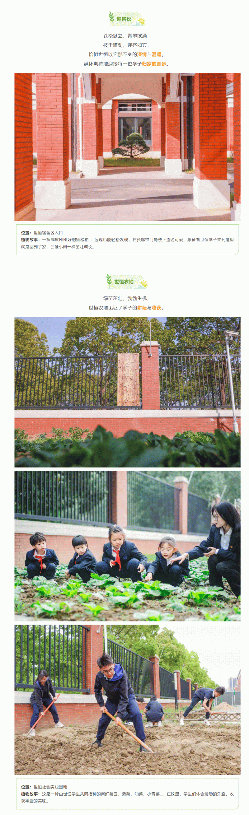 企业微信截图_174217691189_05.gif